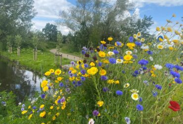 Wandelcoaching bij loopbaanvragen