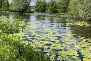 Natuur als inspiratie voor kunst