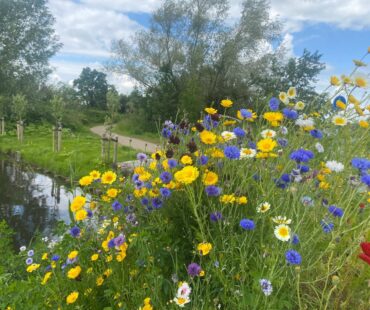 blog Wandelcoaching bij loopbaanvragen van Coaching en route