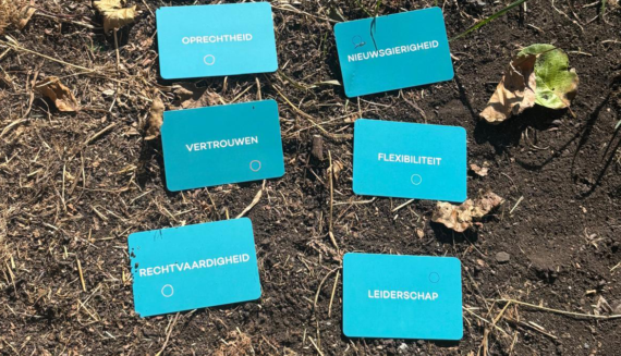 Webburo Spring: Het resultaat van loopbaan coaching